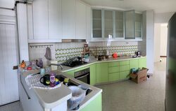 Laguna Park (D15), Apartment #540631481